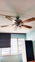 Blk 411 Choa Chu Kang Avenue 3 (Choa Chu Kang), HDB 4 Rooms #588261011